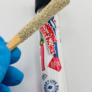 #Pre01 - Powdered Donut Holes “Watermelon Gusher”