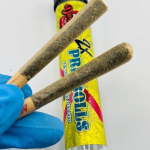 #Pre17- Premium indoor Hybrid- Lemon Cherry Gelato