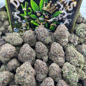 #M110 - Bacio Gelato
