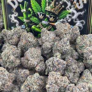 #M198 - Candy Lemon