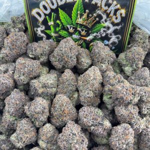 #M210 - Super Polo Gelato