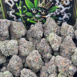 #M216 - Candy Shortcake