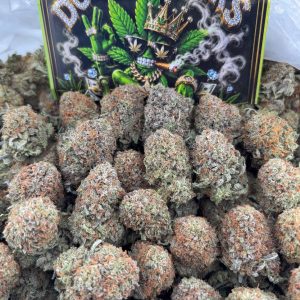 #M218 - indoor bubba
