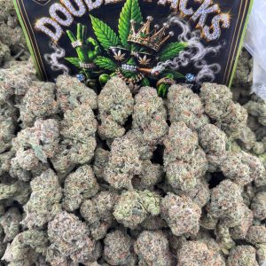 #M254 - Candy Pop