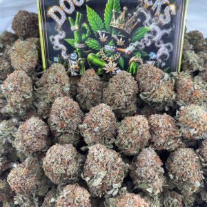 #M262 - Indoor bubba